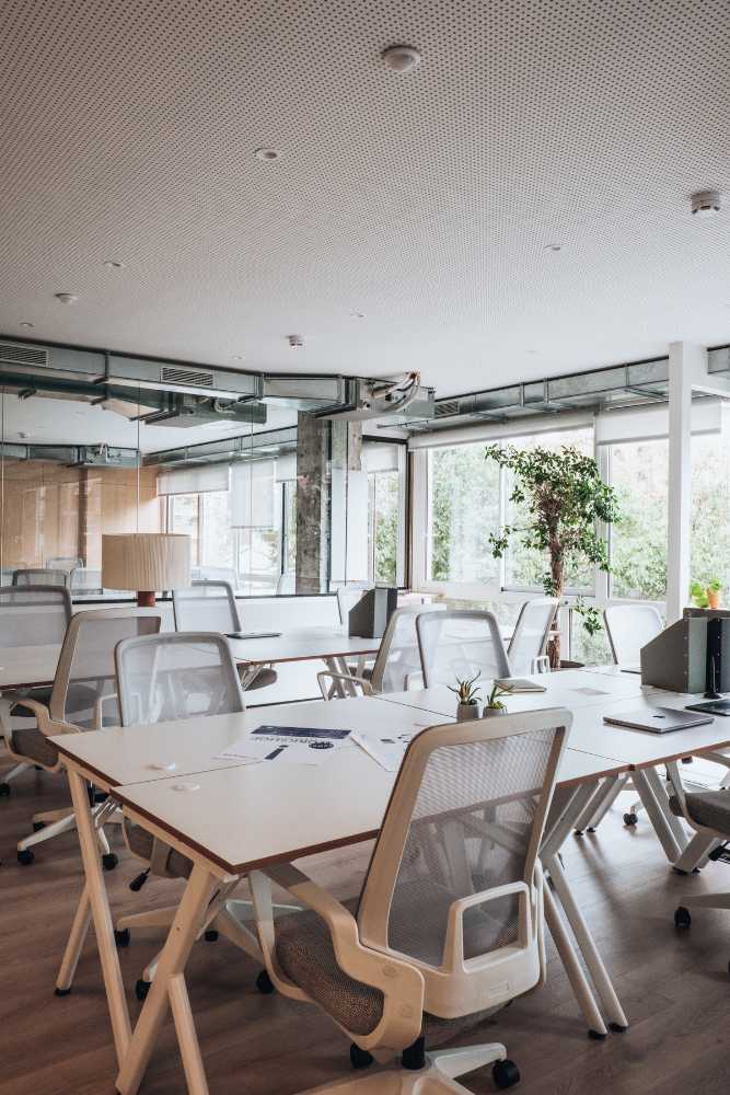 A modern, bright office space with white desks and chairs, large windows letting in natural light, indoor plants, and minimalistic decor. The room is empty, spotless, and organized—ideal for those seeking top cleaning services in Middlesex County, MA.