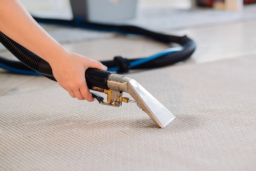 A person uses a carpet cleaning machine with a suction hose to clean a light-colored carpet, focusing on a specific area.